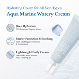 Aqua Marine Watery Cream